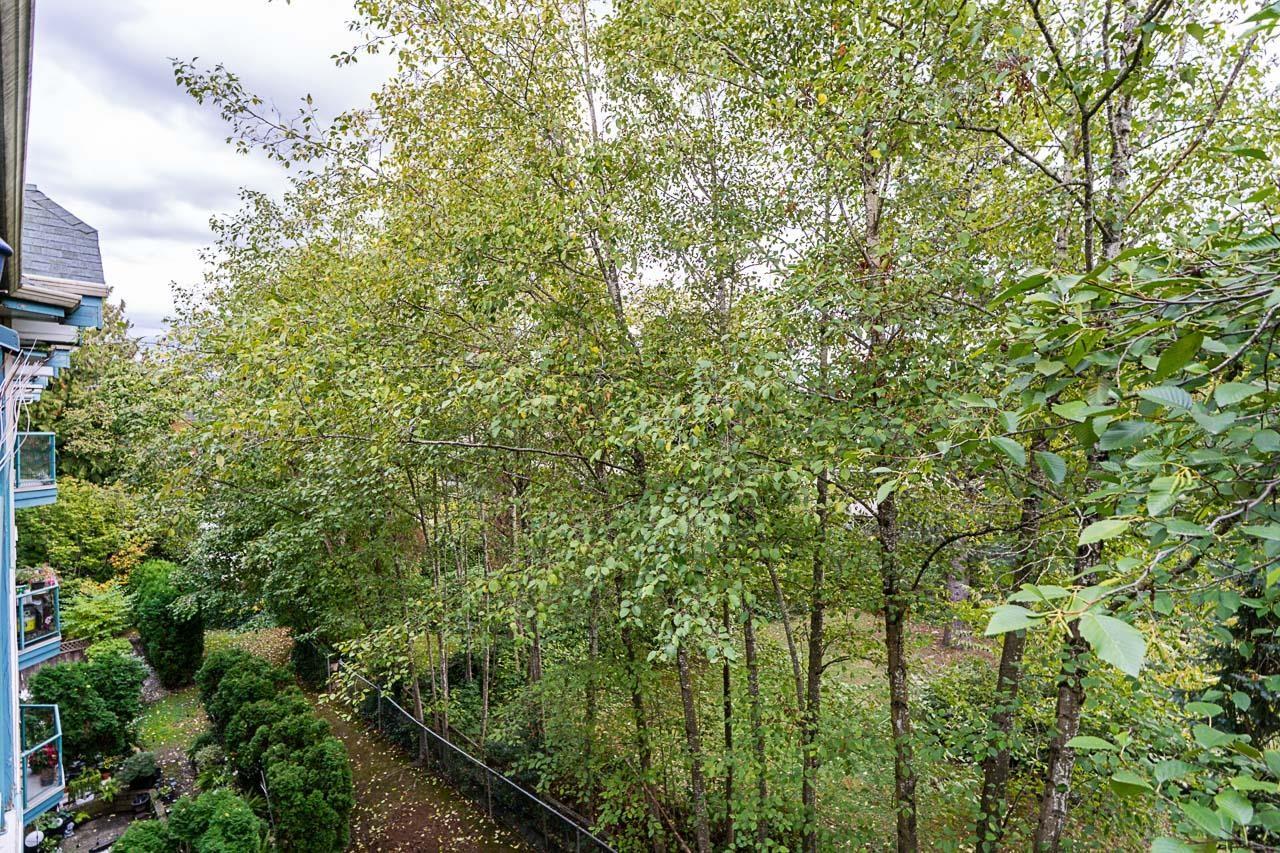 403 5646 200 Street, Langley, British Columbia  V3A 1M8 - Photo 32 - R3056597