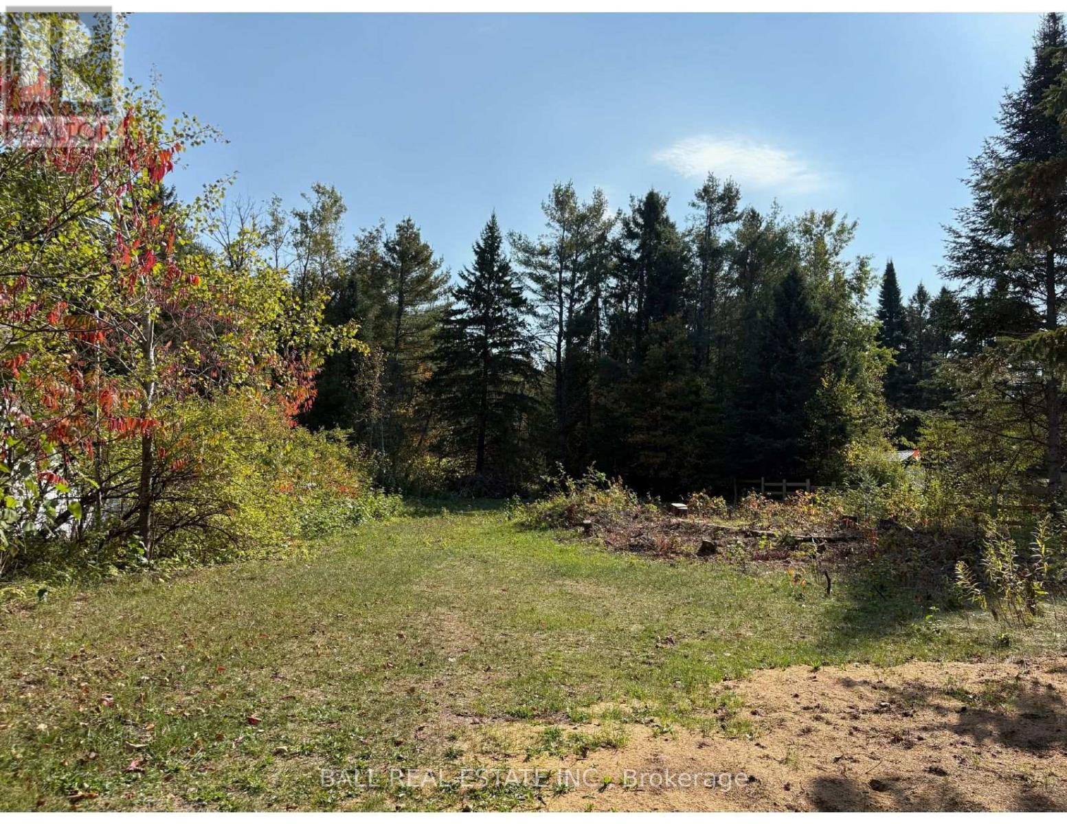 0 The Avenue, Kawartha Lakes (Kinmount), Ontario  K0M 2A0 - Photo 1 - X12451763