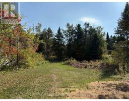 0 THE AVENUE, Kawartha Lakes, Ontario