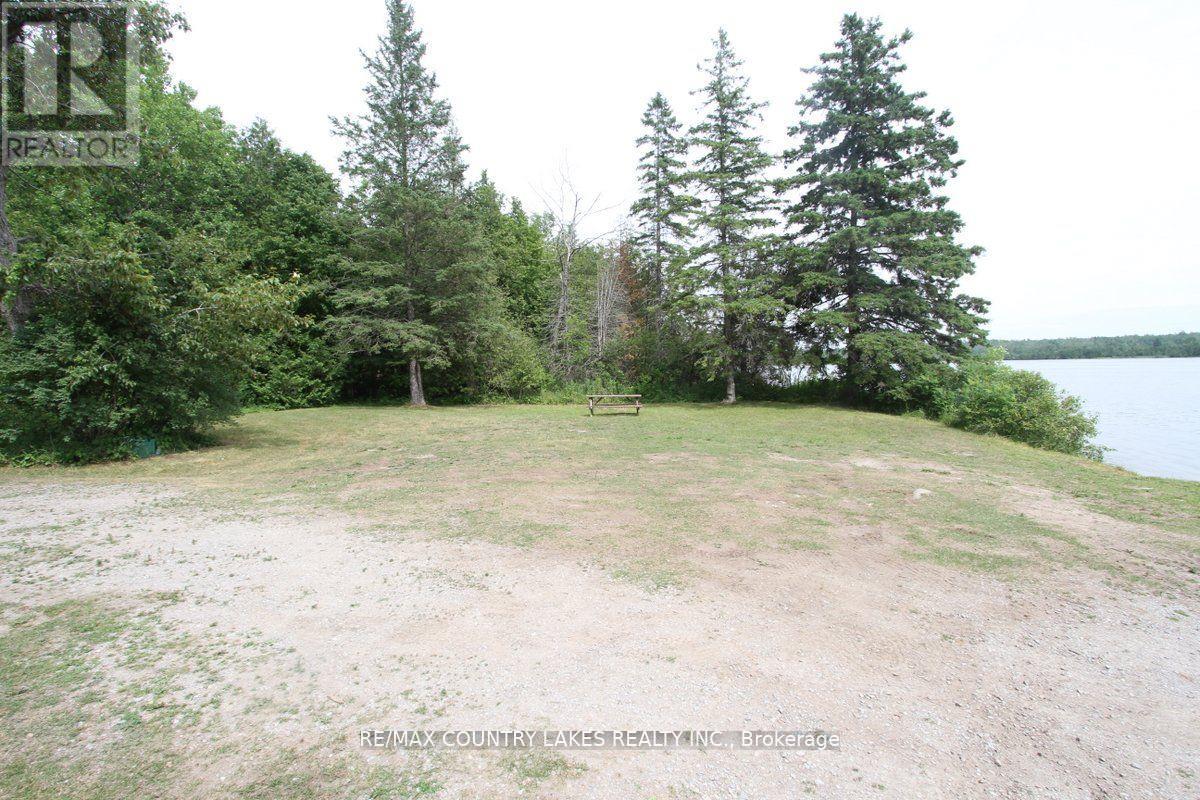 262 Mcguire Beach Road, Kawartha Lakes, Ontario  K0M 2B0 - Photo 30 - X12454391
