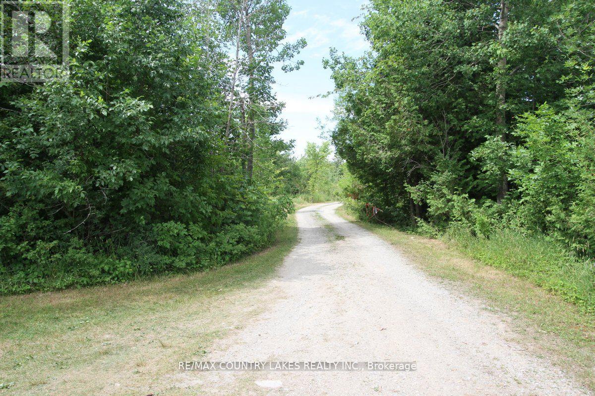 262 Mcguire Beach Road, Kawartha Lakes, Ontario  K0M 2B0 - Photo 32 - X12454391