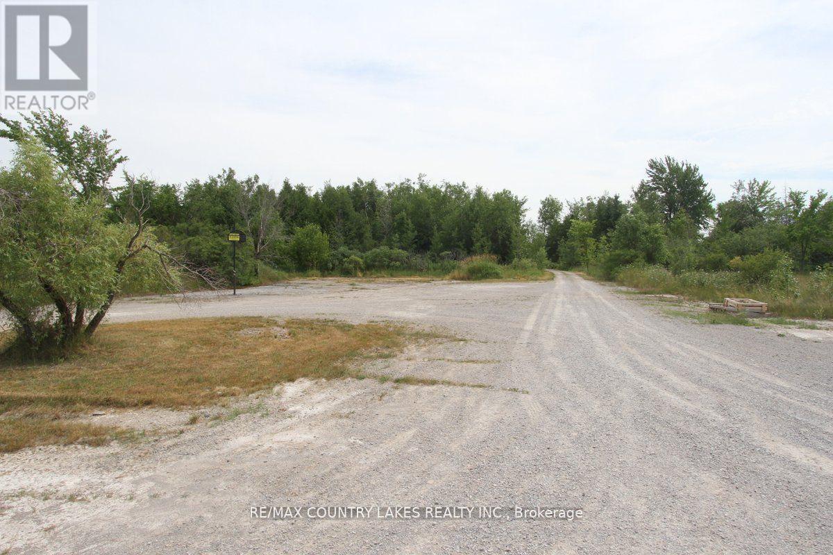 262 Mcguire Beach Road, Kawartha Lakes, Ontario  K0M 2B0 - Photo 33 - X12454391