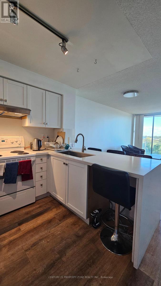 911 - 650 Queens Quay W, Toronto, Ontario  M5V 3N2 - Photo 11 - C12454451