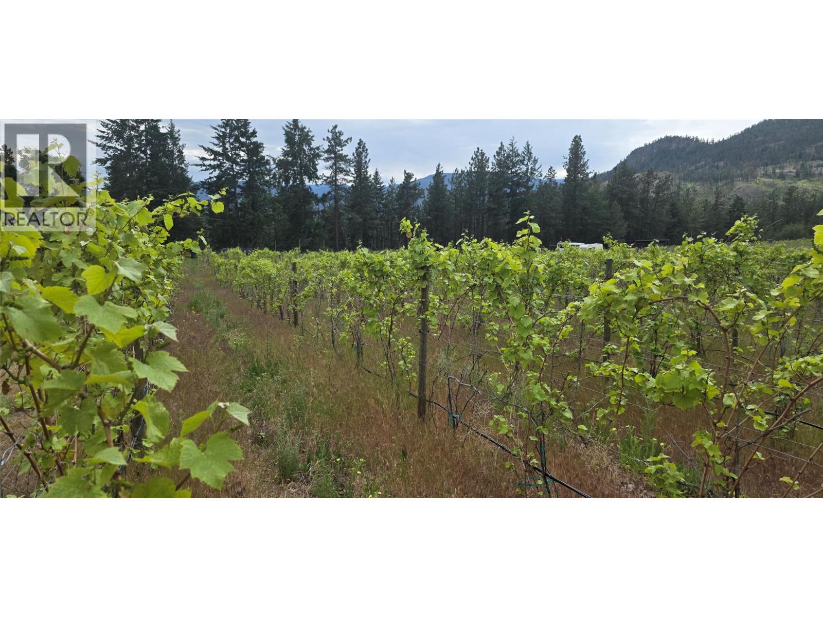 5078 Cousins Place Peachland Photo 11 5078 Cousins Place Peachland Photo 11