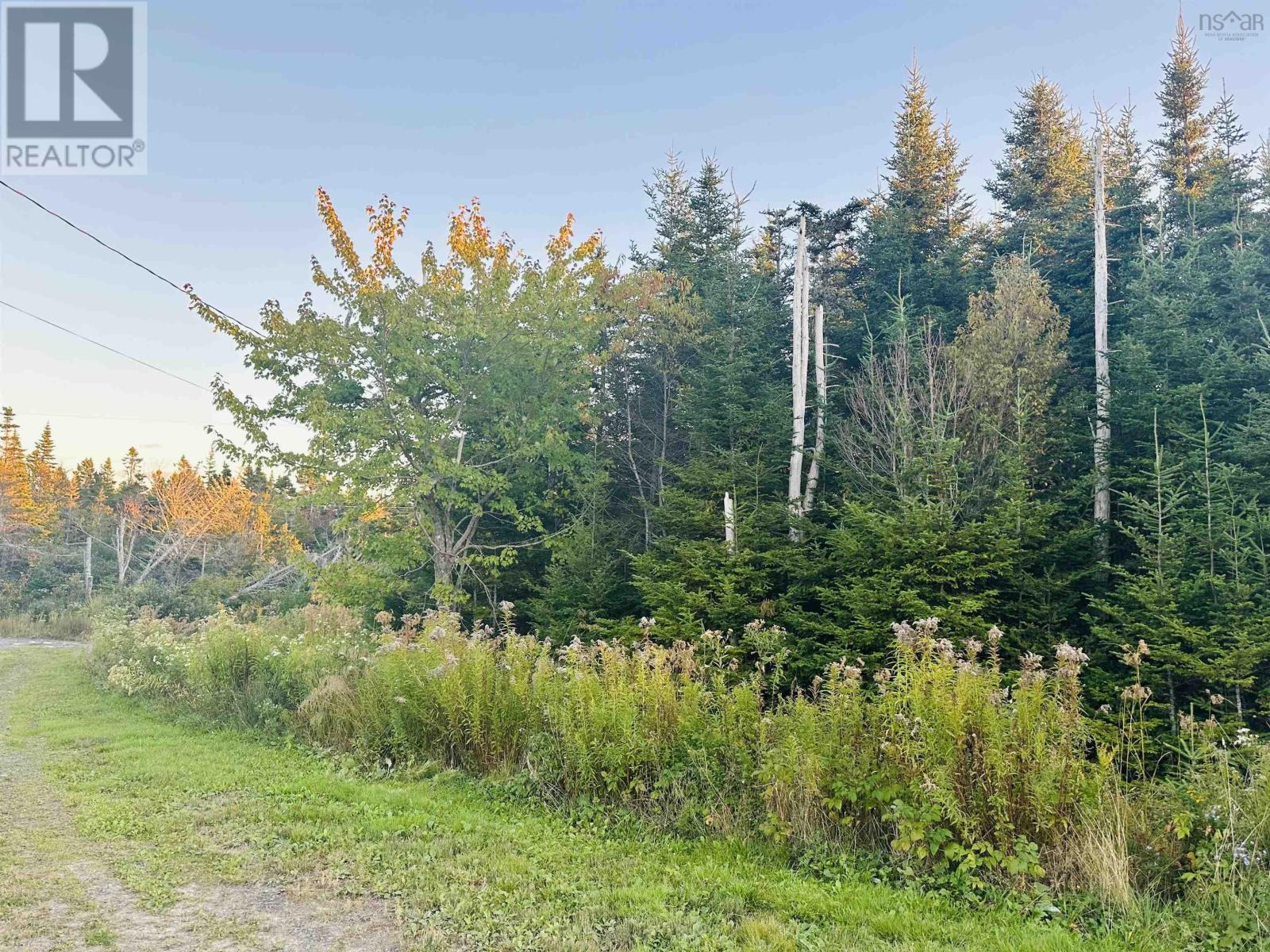 28 Flat Point Road, Clam Harbour, Nova Scotia  B0Y 1Y0 - Photo 3 - 202524733