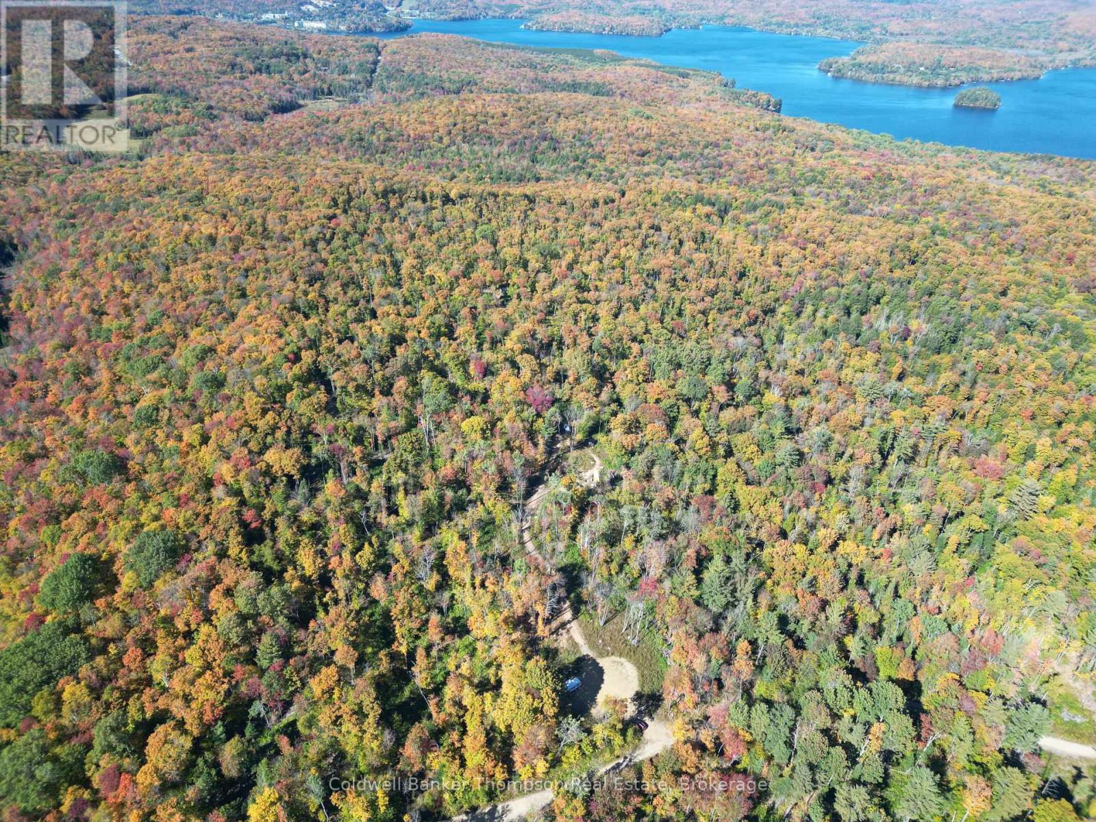 Lt 29 Con 11 Franklin; Lake Of Bays, The District Municipality Of Muskoka, Lake Of Bays, Ontario  N0N 0N0 - Photo 1 - X12454801