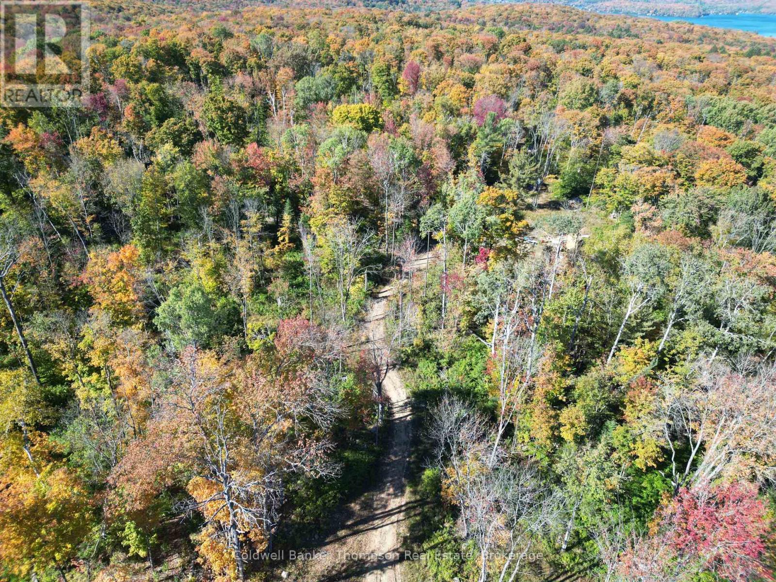 Lt 29 Con 11 Franklin; Lake Of Bays, The District Municipality Of Muskoka, Lake Of Bays, Ontario  N0N 0N0 - Photo 10 - X12454801