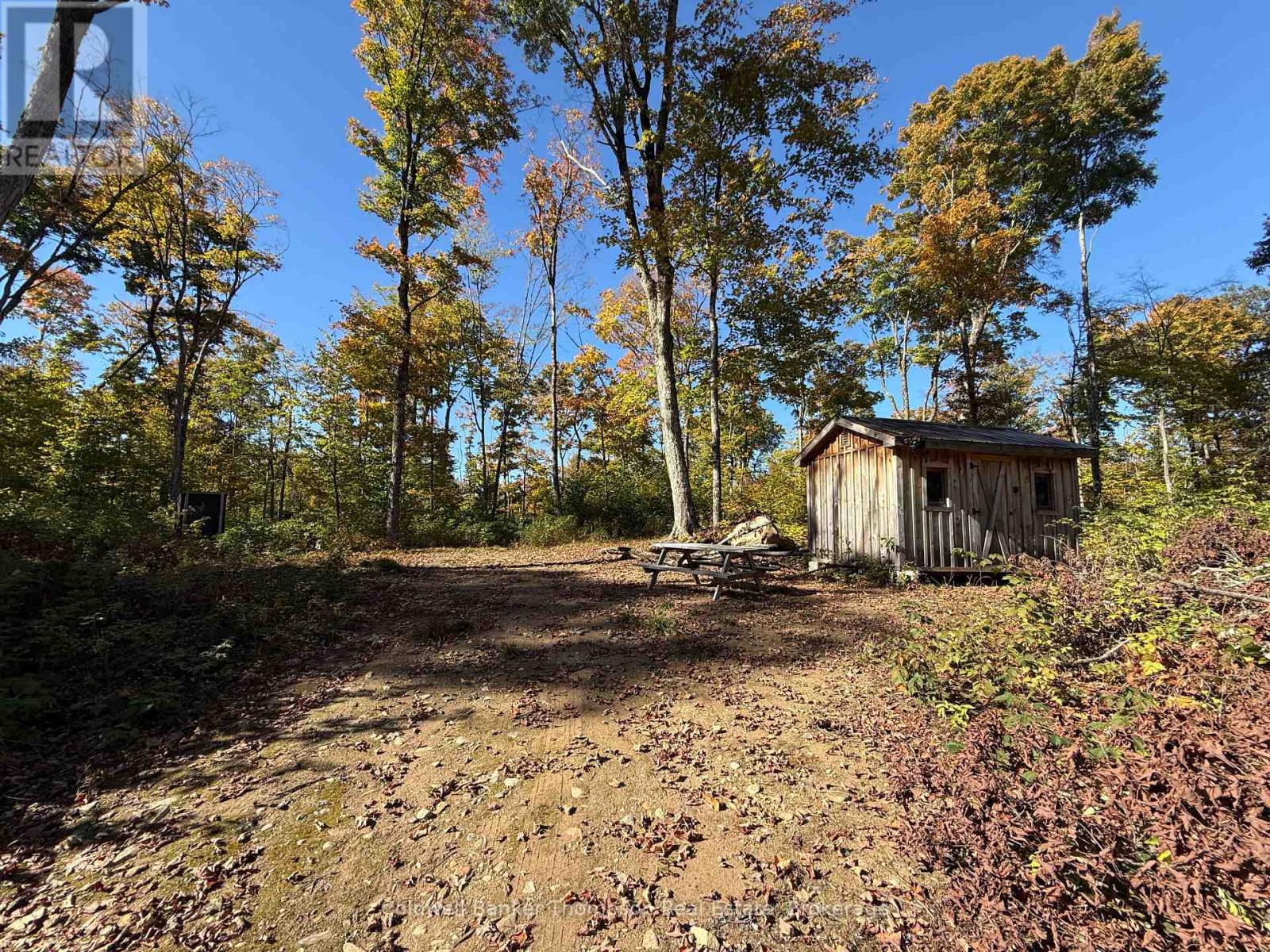 Lt 29 Con 11 Franklin; Lake Of Bays, The District Municipality Of Muskoka, Lake Of Bays, Ontario  N0N 0N0 - Photo 20 - X12454801