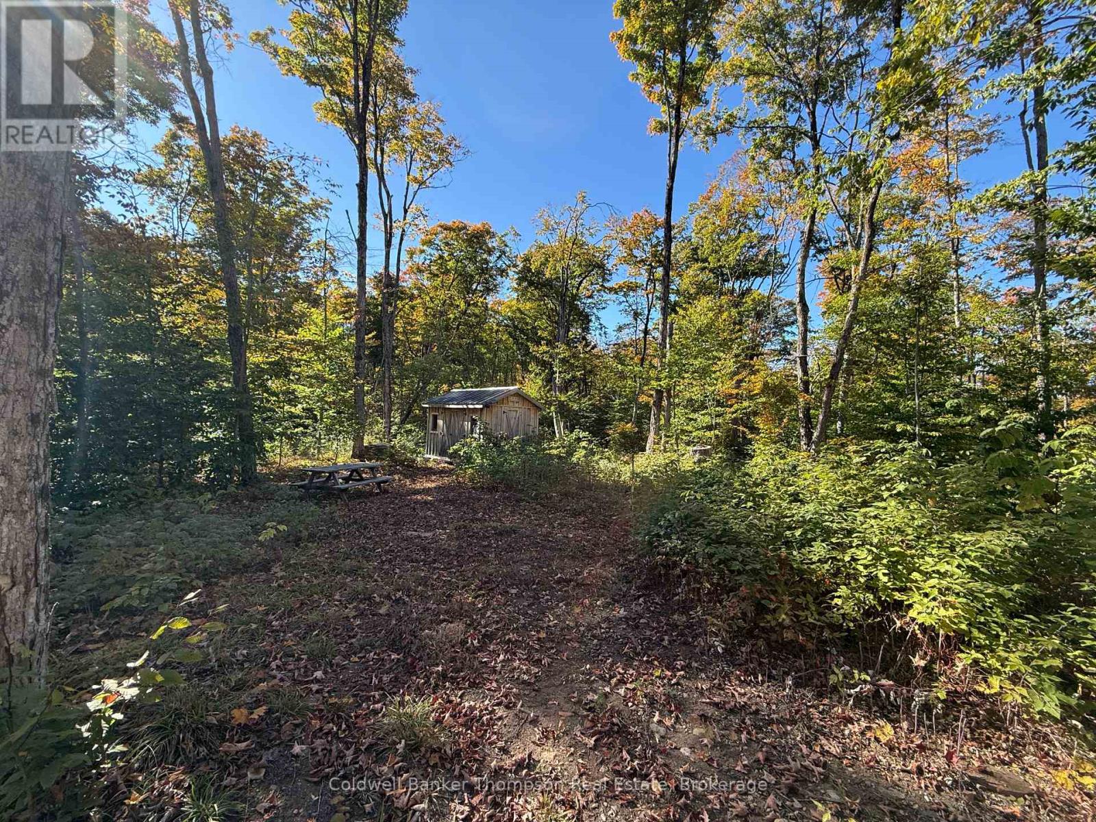 Lt 29 Con 11 Franklin; Lake Of Bays, The District Municipality Of Muskoka, Lake Of Bays, Ontario  N0N 0N0 - Photo 26 - X12454801