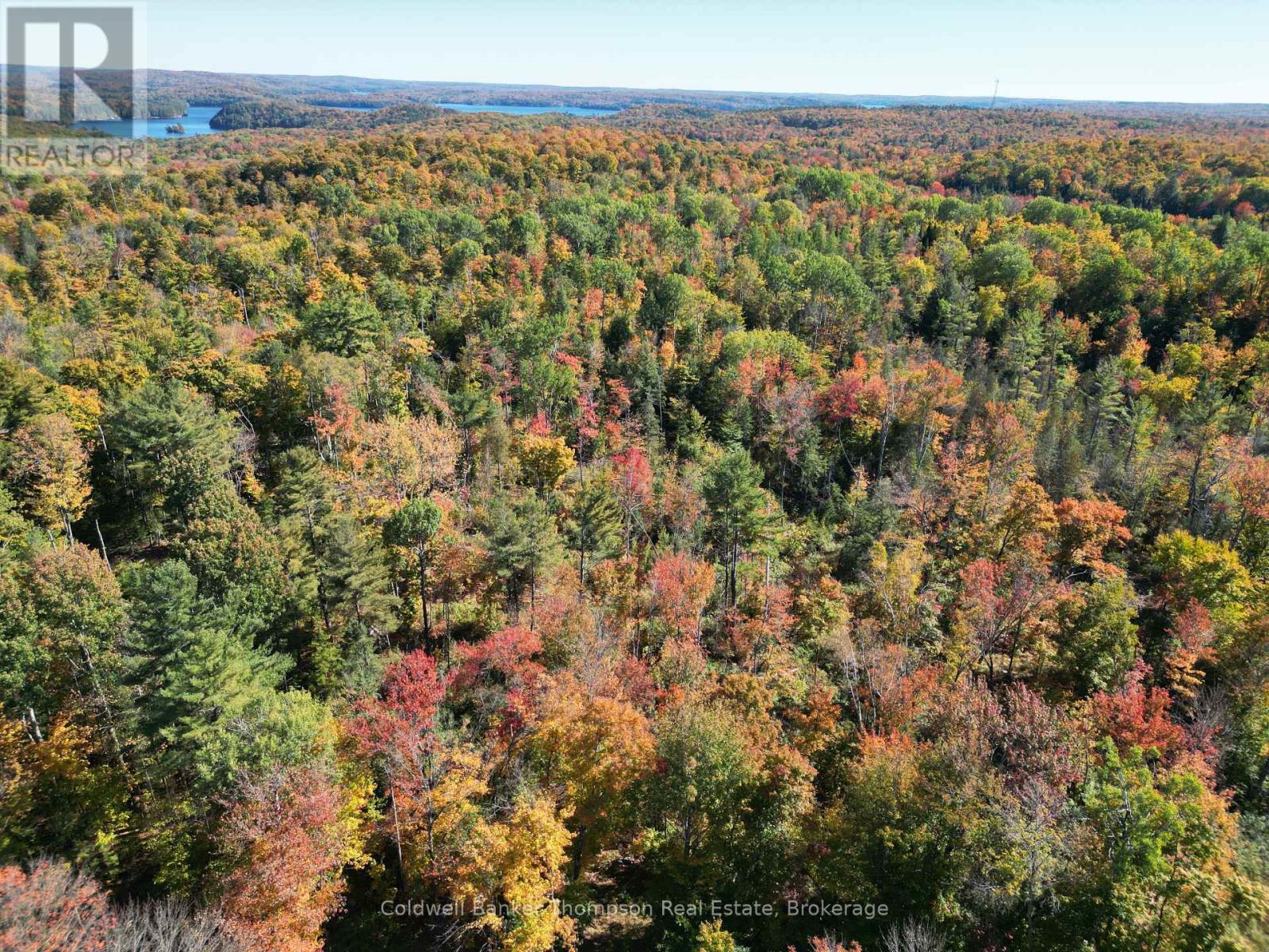 Lt 29 Con 11 Franklin; Lake Of Bays, The District Municipality Of Muskoka, Lake Of Bays, Ontario  N0N 0N0 - Photo 3 - X12454801