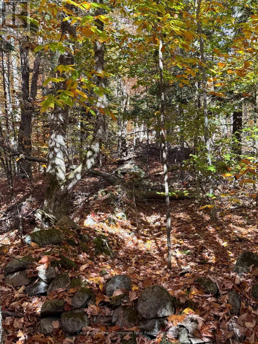 Lt 29 Con 11 Franklin; Lake Of Bays, The District Municipality Of Muskoka, Lake Of Bays, Ontario  N0N 0N0 - Photo 37 - X12454801