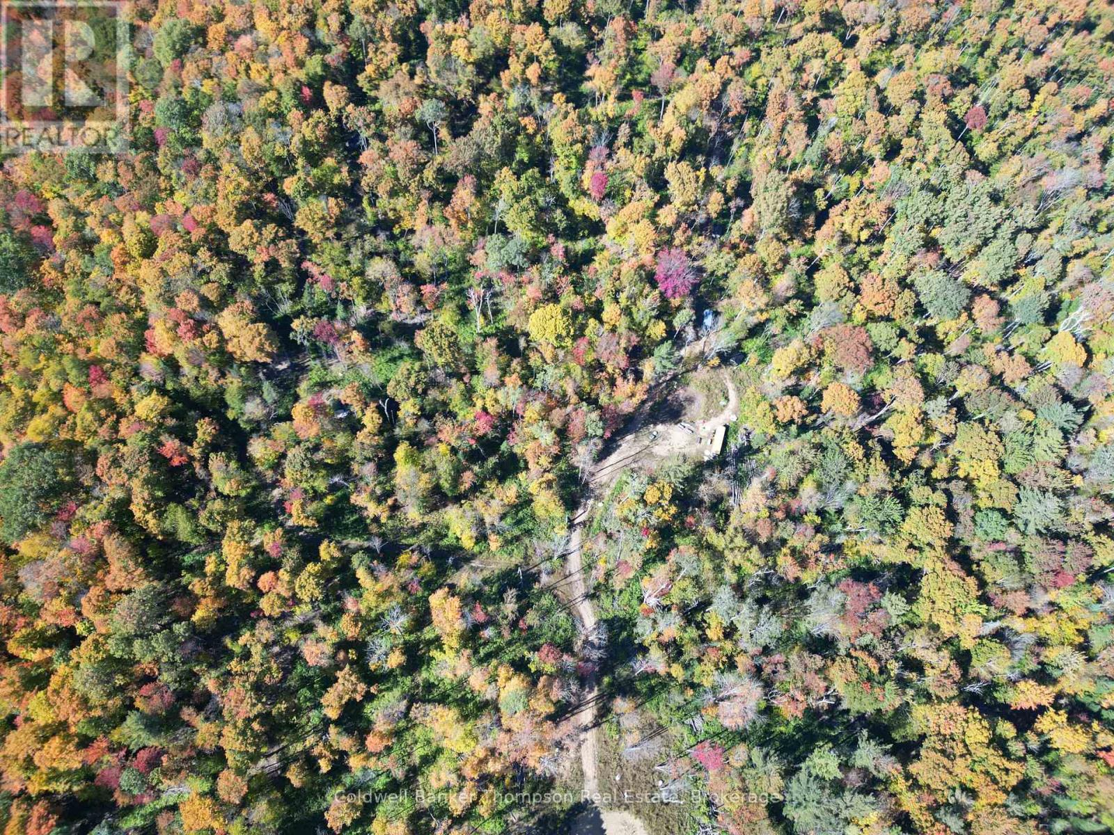 Lt 29 Con 11 Franklin; Lake Of Bays, The District Municipality Of Muskoka, Lake Of Bays, Ontario  N0N 0N0 - Photo 6 - X12454801