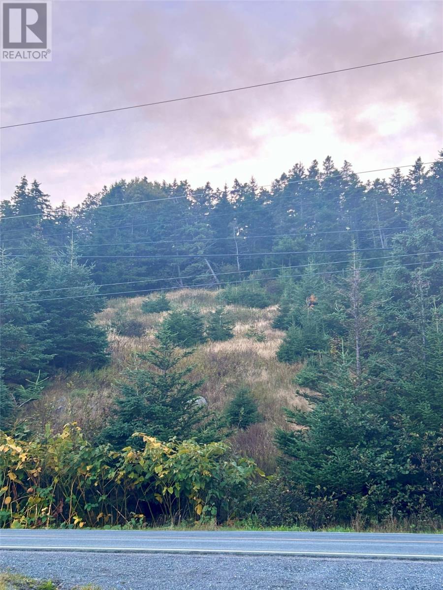 96-104 Bonds Path, Placentia, Newfoundland & Labrador