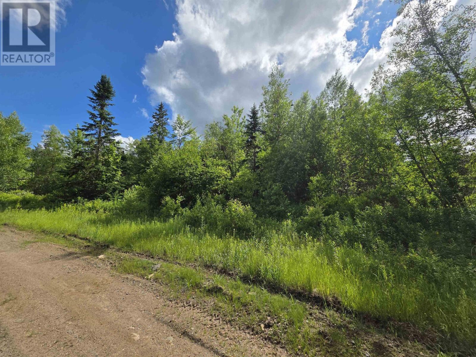Lot Black River Road, Black River Lake, Nova Scotia  B4P 2R1 - Photo 1 - 202515315