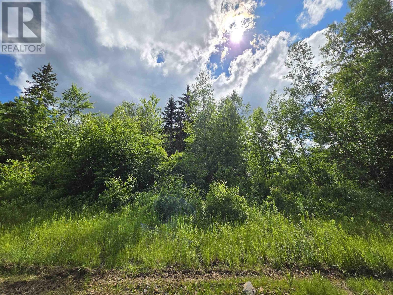 Lot Black River Road, Black River Lake, Nova Scotia  B4P 2R1 - Photo 8 - 202515315