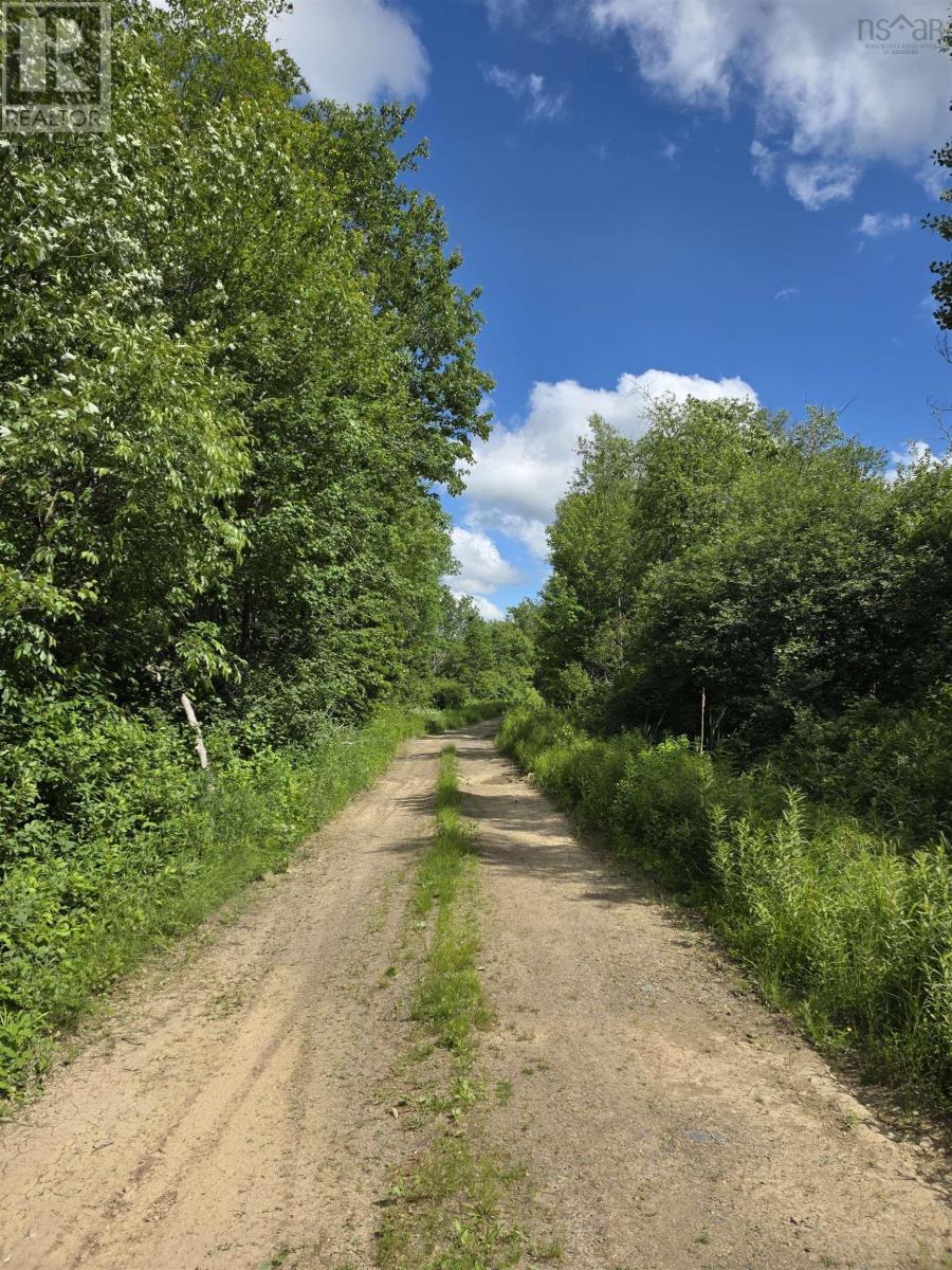 Lot Black River Road, Black River Lake, Nova Scotia  B4P 2R1 - Photo 5 - 202515315