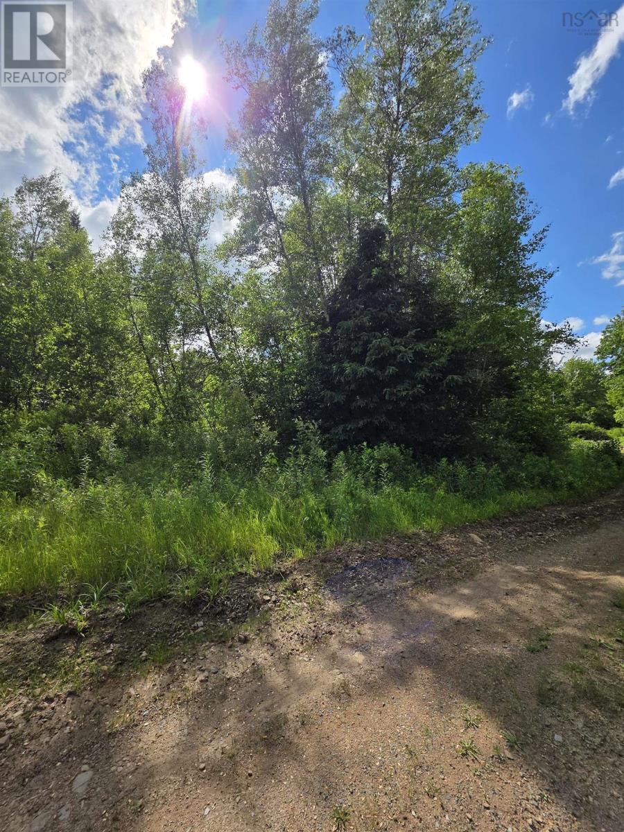 Lot Black River Road, Black River Lake, Nova Scotia  B4P 2R1 - Photo 6 - 202515315