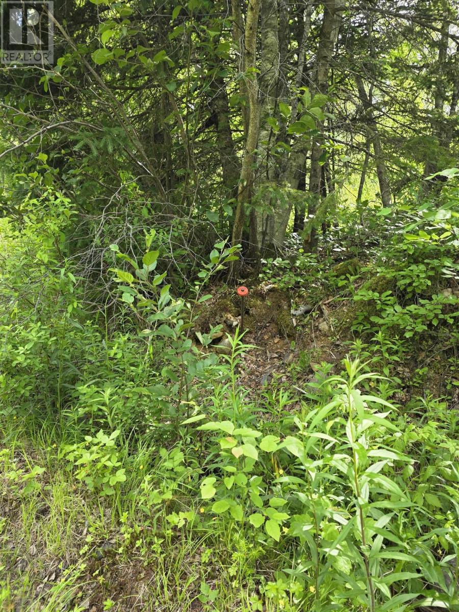 Lot Black River Road, Black River Lake, Nova Scotia  B4P 2R1 - Photo 3 - 202515315