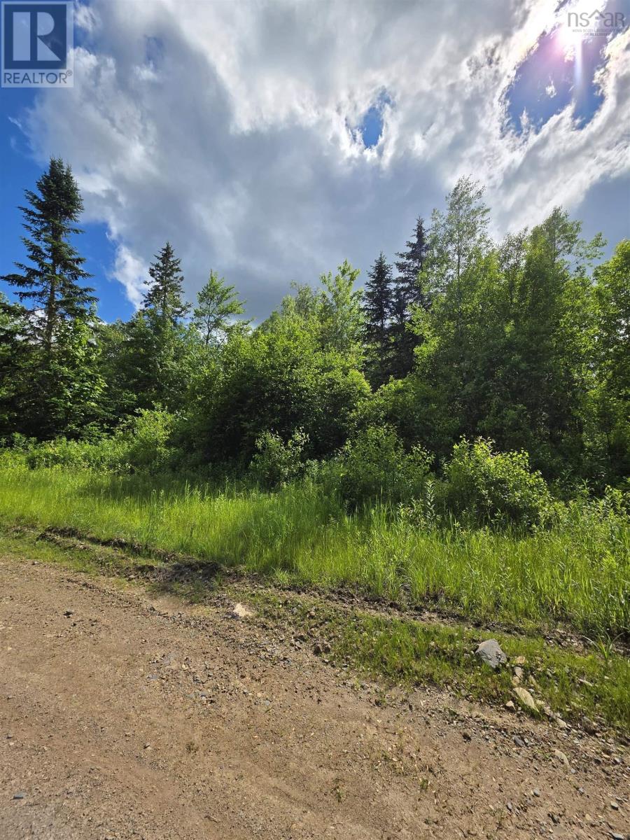 Lot Black River Road, Black River Lake, Nova Scotia  B4P 2R1 - Photo 2 - 202515315
