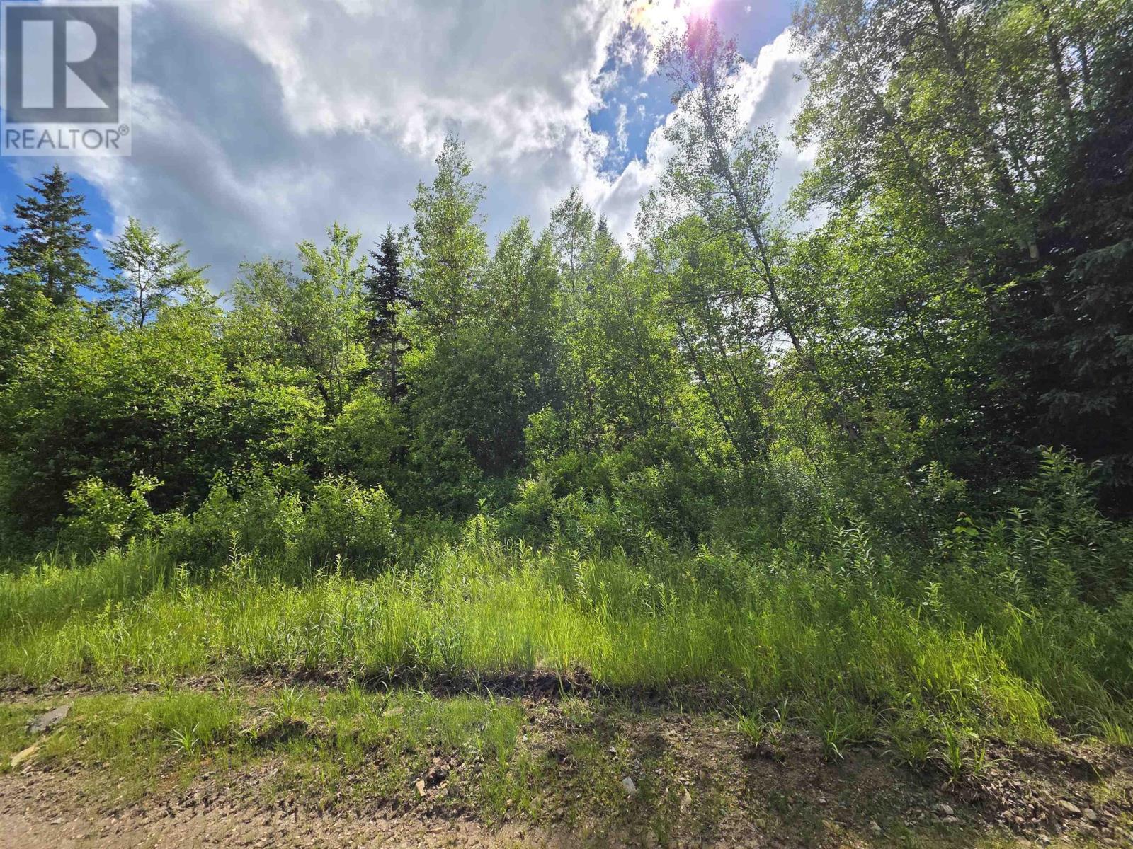 Lot Black River Road, Black River Lake, Nova Scotia  B4P 2R1 - Photo 7 - 202515315