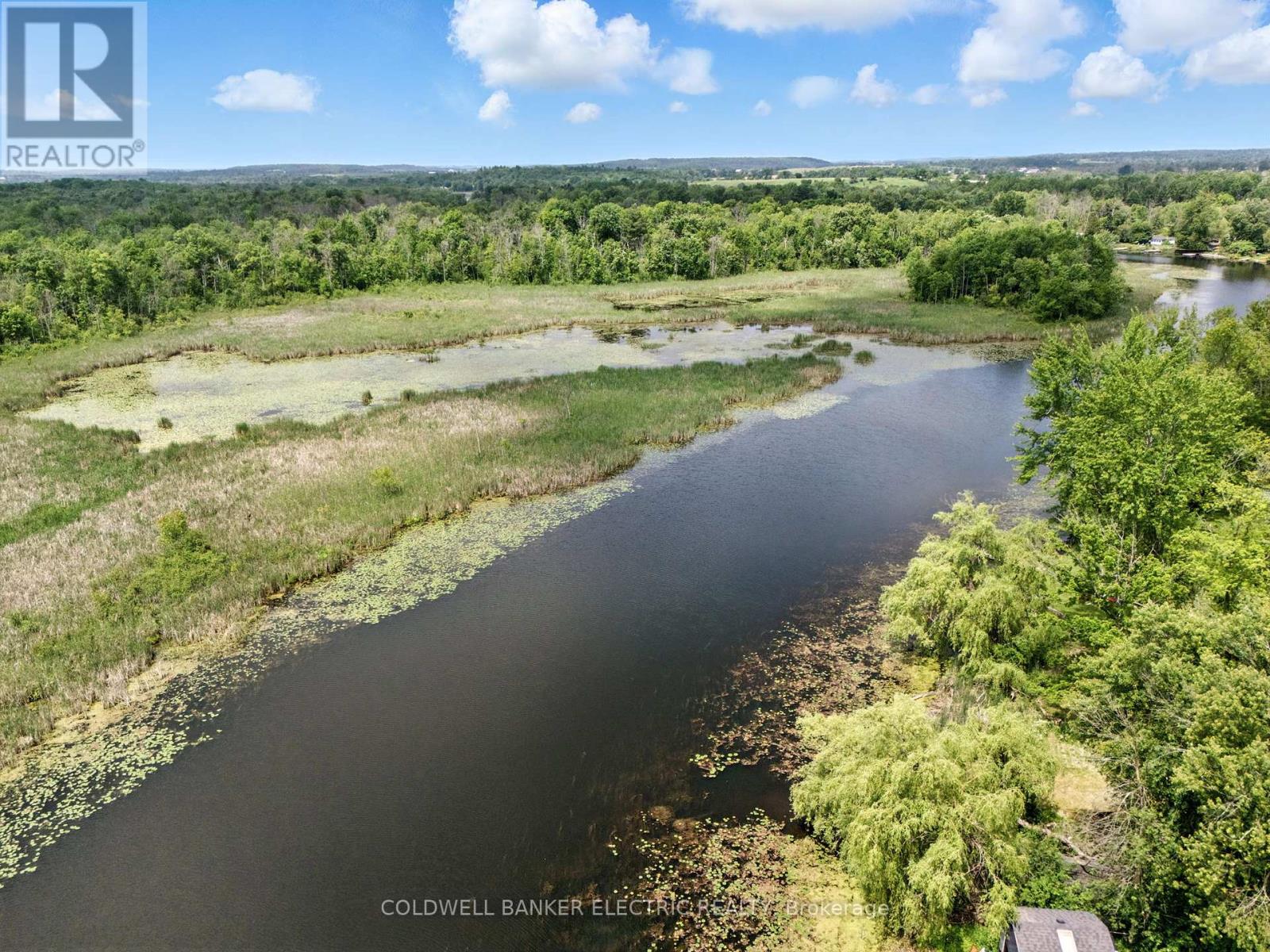 251 River Road, Trent Hills, Ontario  K0L 1L0 - Photo 3 - X12454918