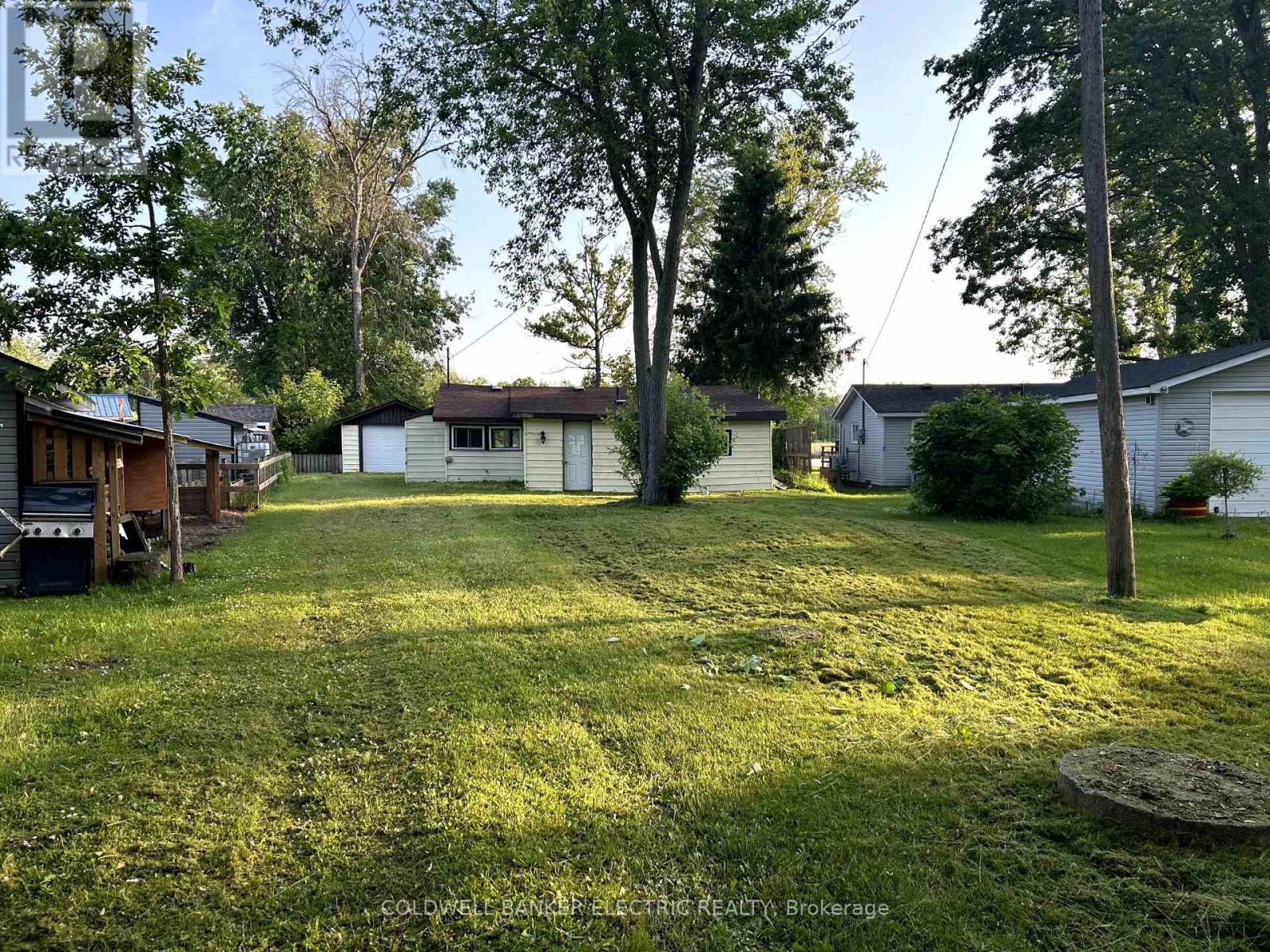 251 River Road, Trent Hills, Ontario  K0L 1L0 - Photo 5 - X12454918