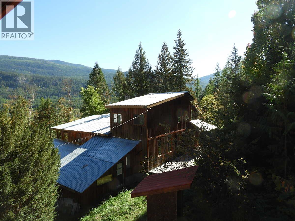 6119 Slocan River Road, Appledale, British Columbia  V0G 2J0 - Photo 2 - 10352161