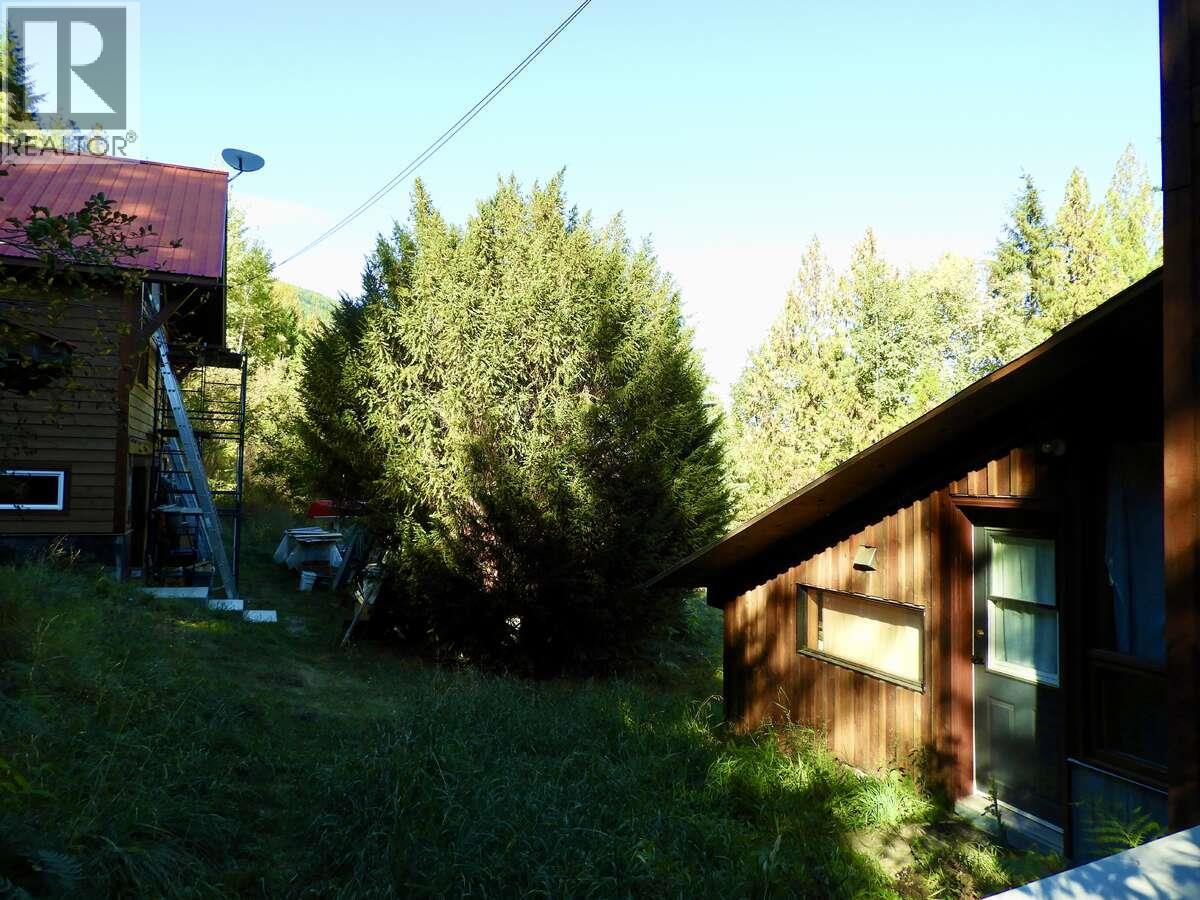 6119 Slocan River Road, Appledale, British Columbia  V0G 2J0 - Photo 29 - 10352161
