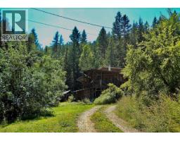 6119 Slocan River Road, appledale, British Columbia