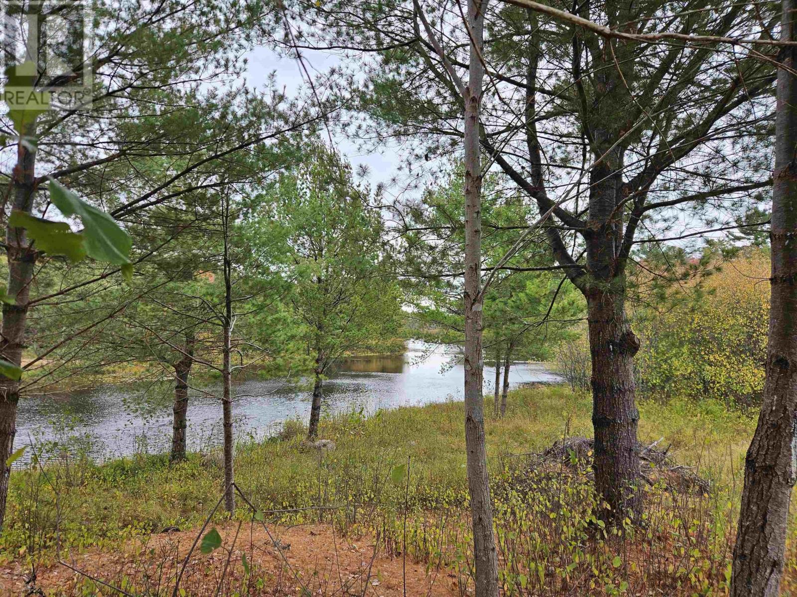 Lot (Pid 70266457) Highway 8, Caledonia, Nova Scotia  B0T 1B0 - Photo 4 - 202525495