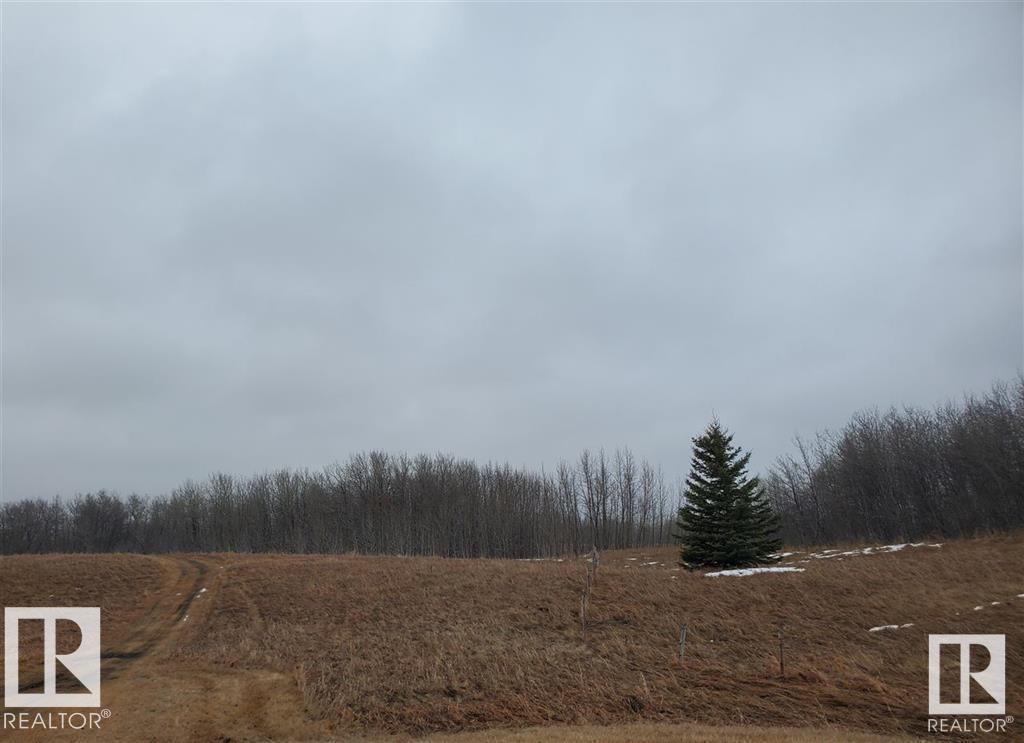 25522 Twp Road 512, Rural Parkland County, Alberta  T7Y 1A8 - Photo 15 - E4366296