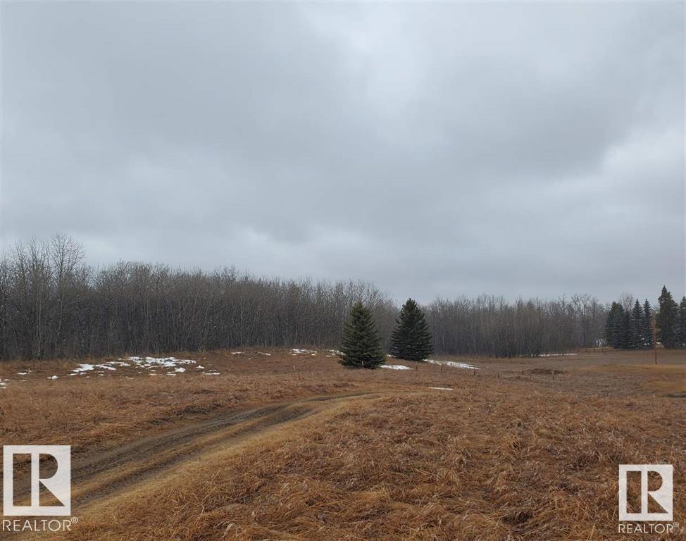 25522 Twp Road 512, Rural Parkland County, Alberta  T7Y 1A8 - Photo 13 - E4366296
