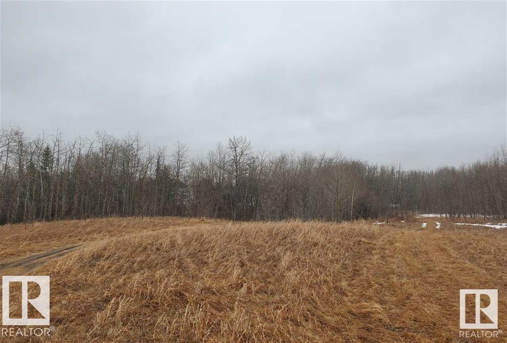 25522 Twp Road 512, Rural Parkland County, Alberta  T7Y 1A8 - Photo 14 - E4366296