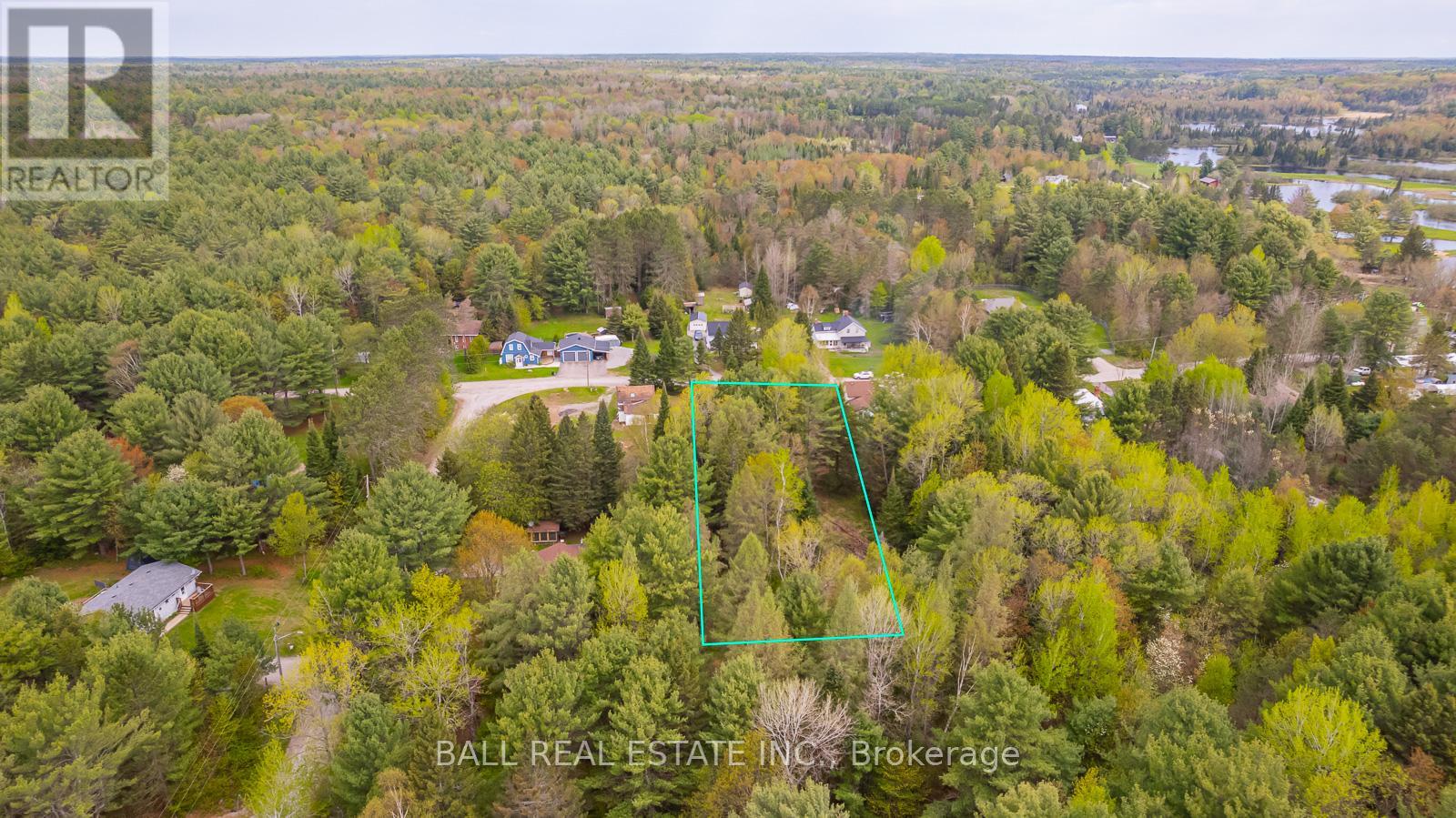 0 The Avenue, Kawartha Lakes (Kinmount), Ontario  K0M 2A0 - Photo 12 - X12451763