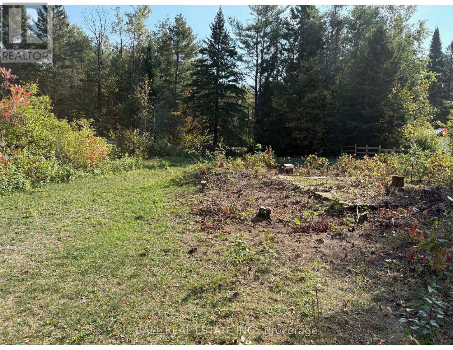 0 The Avenue, Kawartha Lakes (Kinmount), Ontario  K0M 2A0 - Photo 2 - X12451763