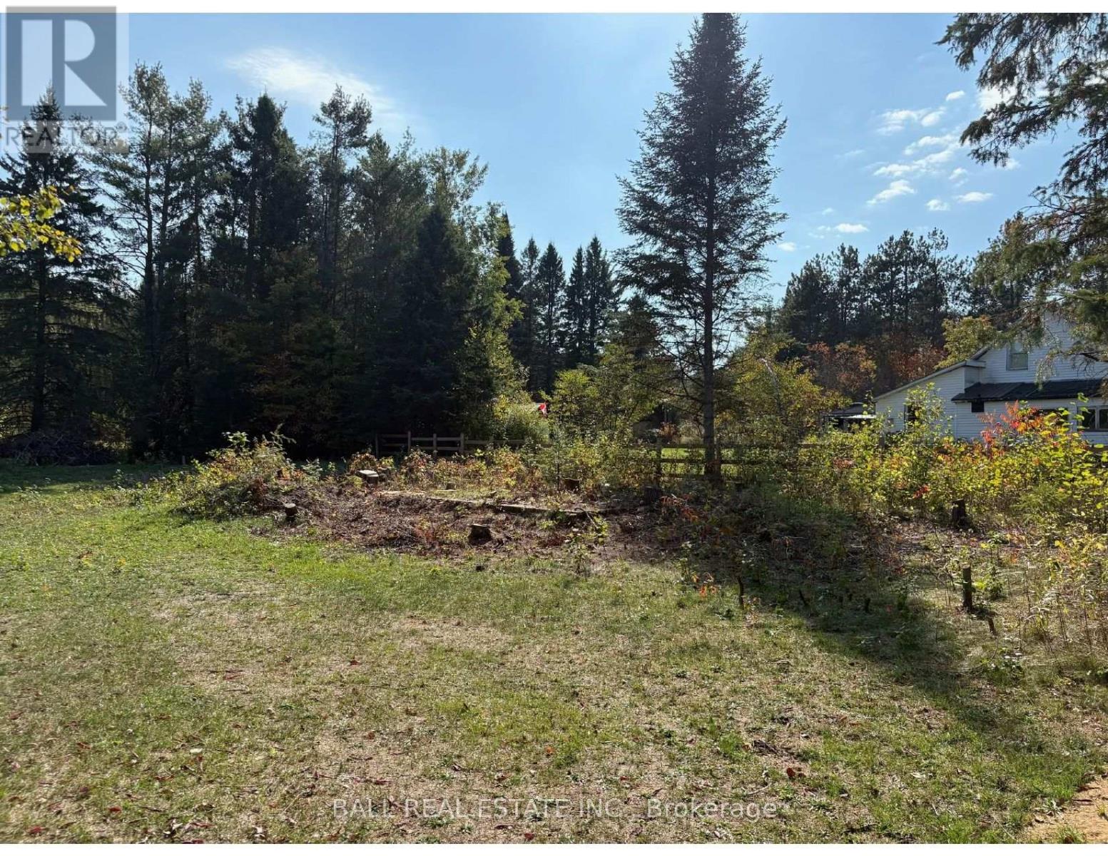 0 The Avenue, Kawartha Lakes (Kinmount), Ontario  K0M 2A0 - Photo 4 - X12451763