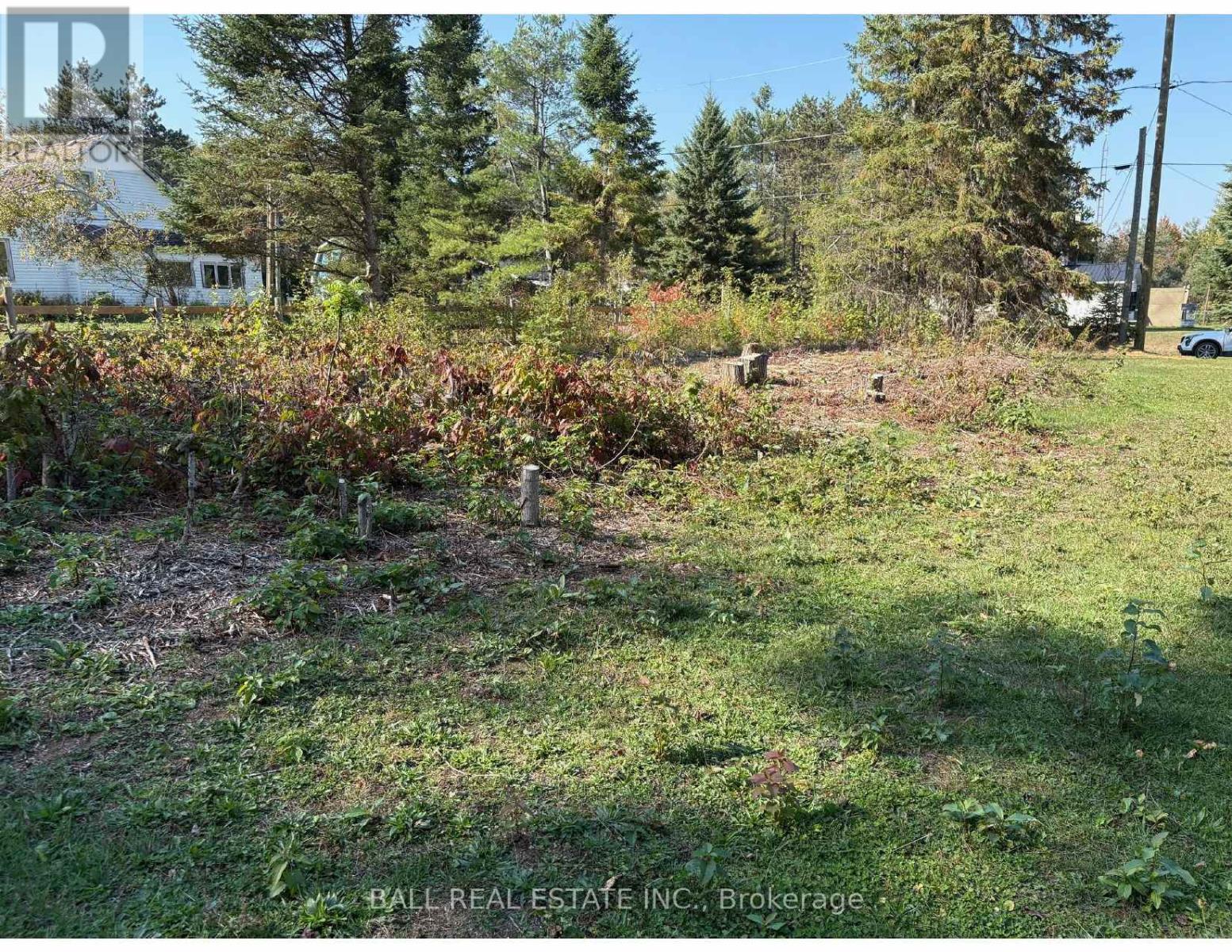 0 The Avenue, Kawartha Lakes (Kinmount), Ontario  K0M 2A0 - Photo 3 - X12451763