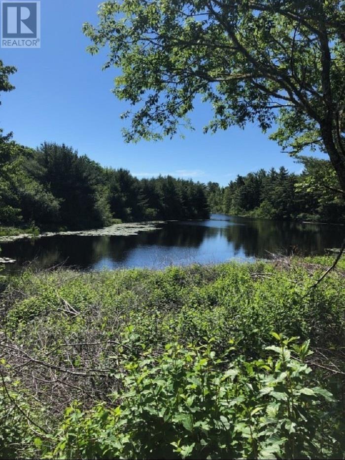 Lot (Pid 70151543) Highway 8, Caledonia, Nova Scotia  B0T 1B0 - Photo 2 - 202525496