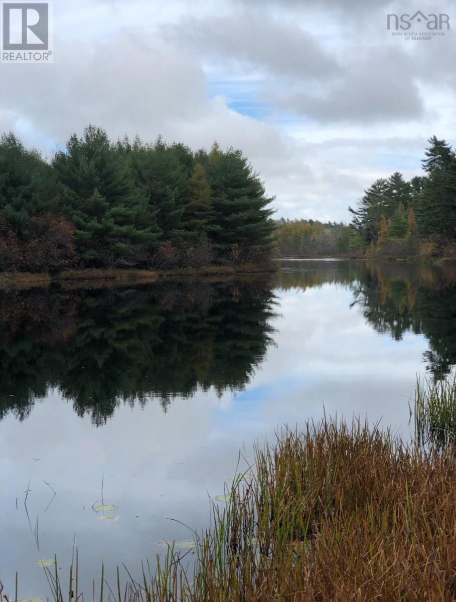 Lot (Pid 70151543) Highway 8, Caledonia, Nova Scotia  B0T 1B0 - Photo 3 - 202525496