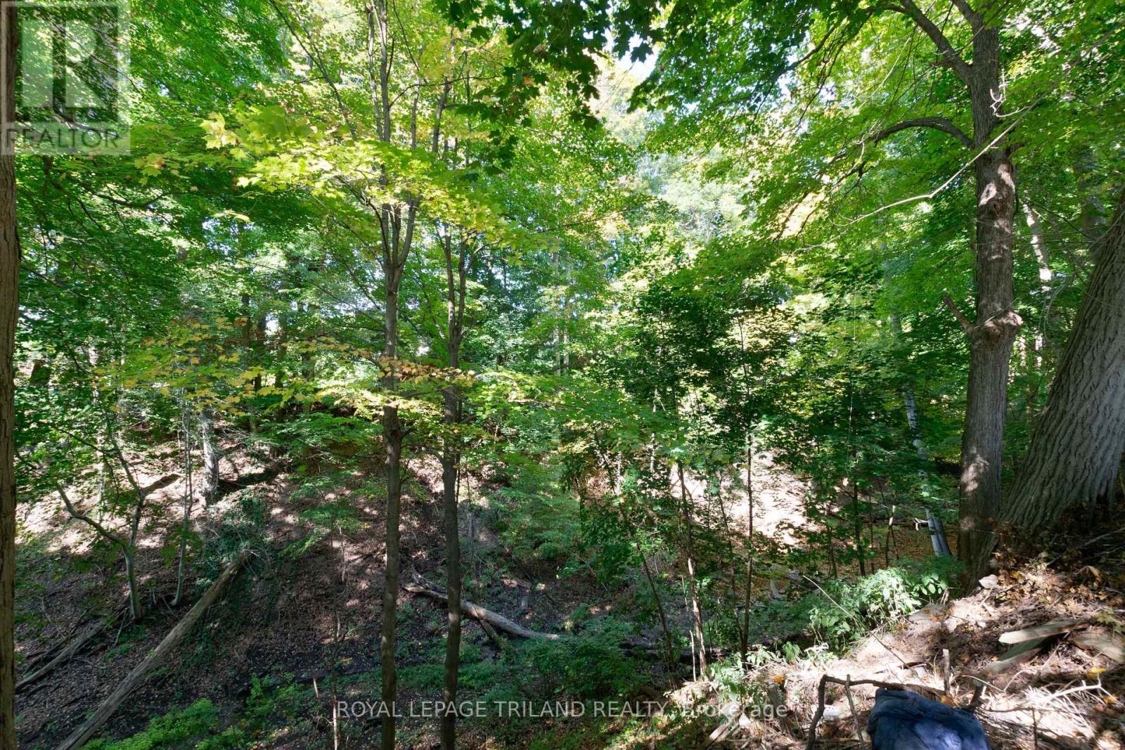 6267 Sunset Road, Central Elgin, Ontario  N0L 2L0 - Photo 45 - X12455181