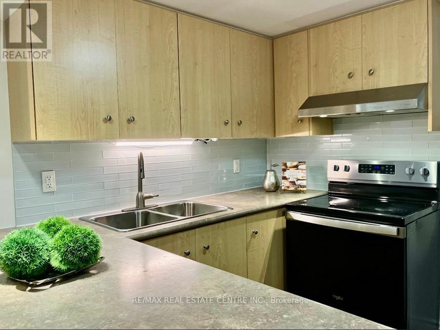 BASEMENT - 22 HOLLISTER ROAD, Toronto, Ontario