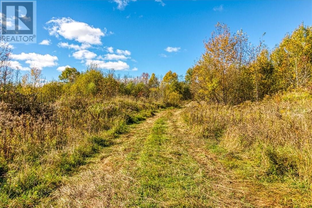 Lot 1 Leonard Avenue S, Dowling, Ontario