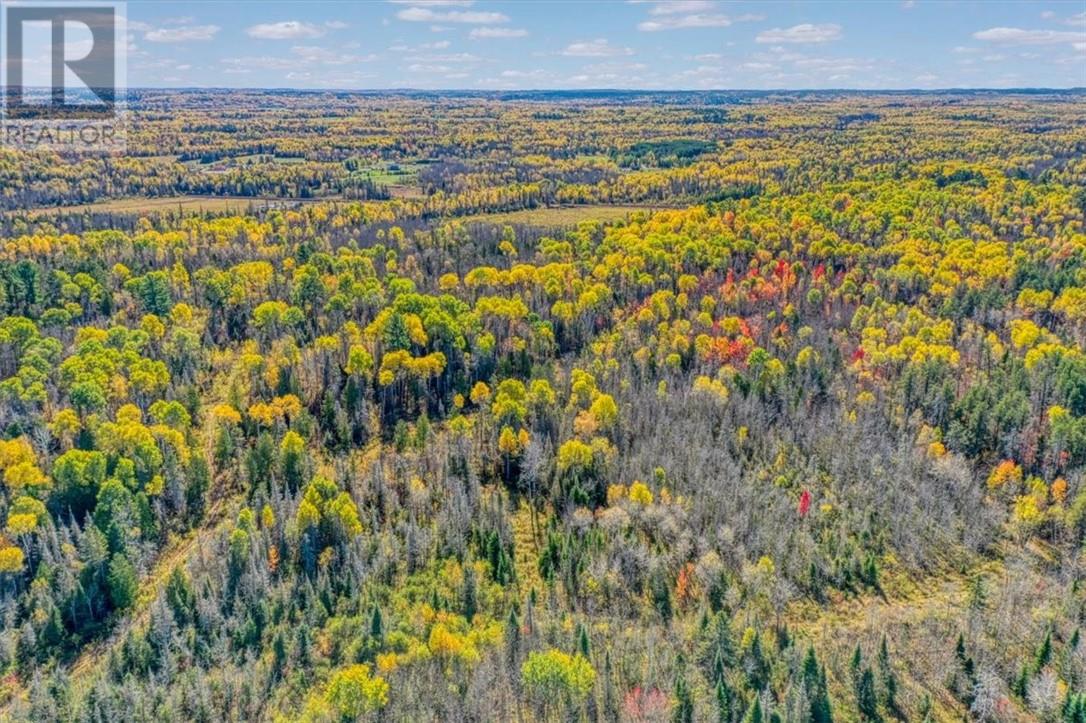 Lot 1 Leonard Avenue S, Dowling, Ontario  P0M 1R0 - Photo 10 - 2125164