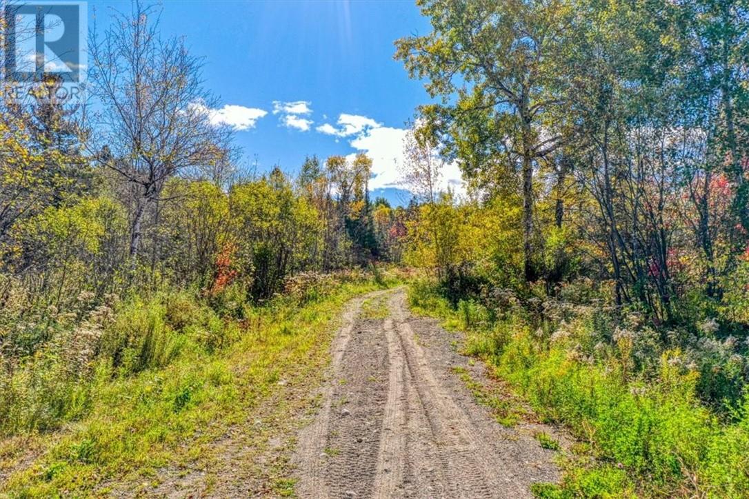 Lot 1 Leonard Avenue S, Dowling, Ontario  P0M 1R0 - Photo 2 - 2125164