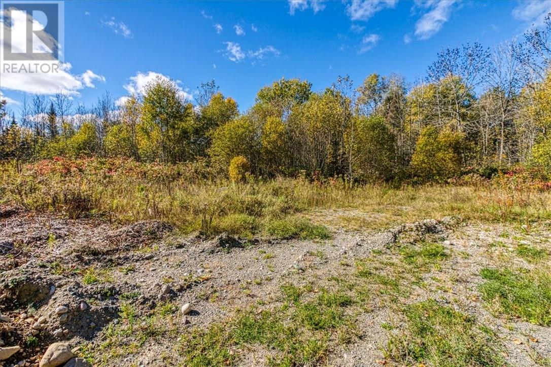 Lot 1 Leonard Avenue S, Dowling, Ontario  P0M 1R0 - Photo 4 - 2125164