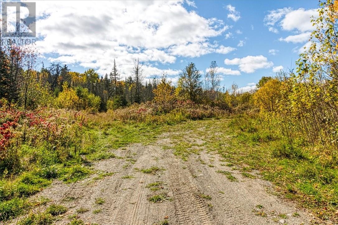 Lot 1 Leonard Avenue S, Dowling, Ontario  P0M 1R0 - Photo 5 - 2125164
