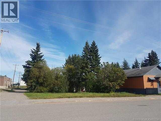 4907 50 St., Caroline, Alberta  T0M 0M0 - Photo 2 - A2241586