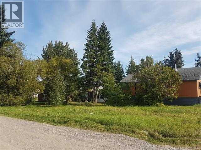 4907 50 St., Caroline, Alberta  T0M 0M0 - Photo 3 - A2241586