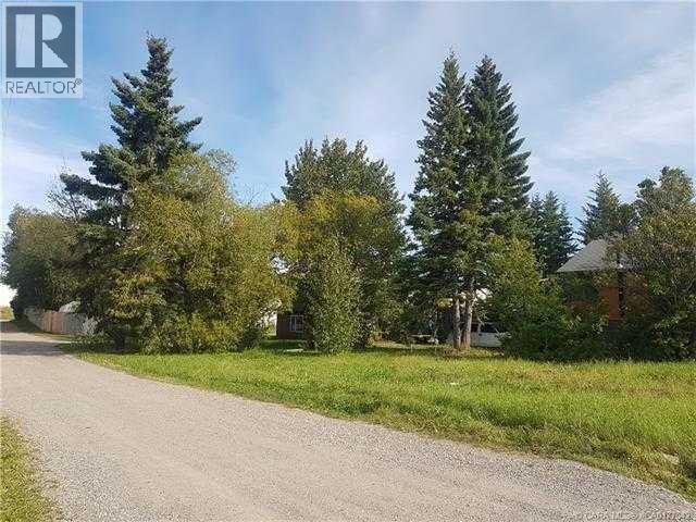 4907 50 St., Caroline, Alberta  T0M 0M0 - Photo 4 - A2241586
