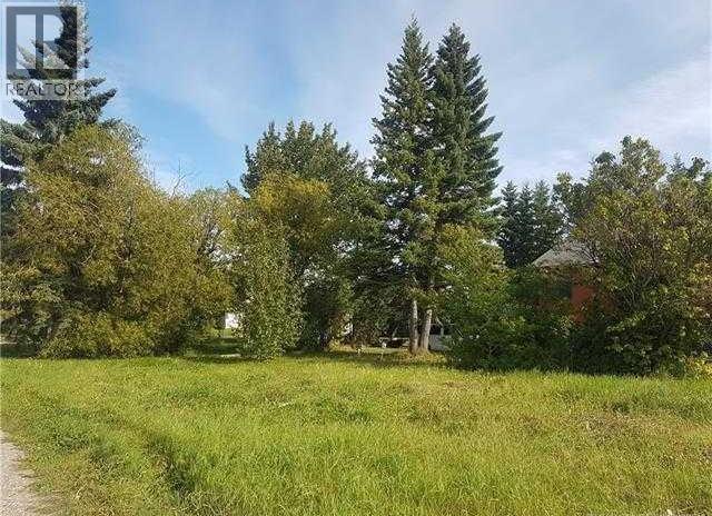 4907 50 St., Caroline, Alberta  T0M 0M0 - Photo 1 - A2241586